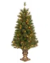 National Tree Company 4ft Atlanta Spruce Entrance Tree With Clear Lights