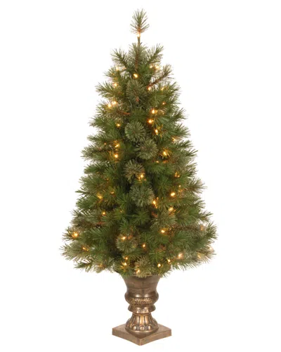 National Tree Company 4ft Atlanta Spruce Entrance Tree With Clear Lights