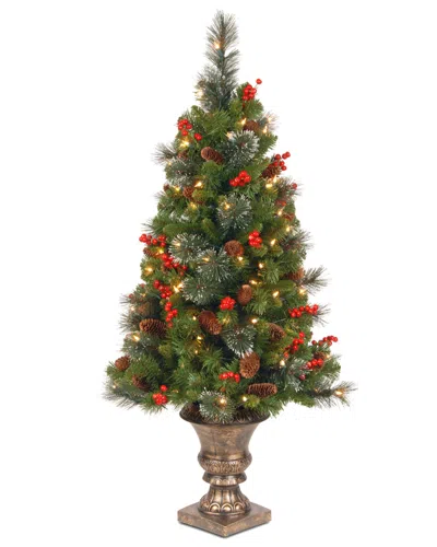 National Tree Company 4ft Crestwood Spruce Entrance Tree With Clear Lights