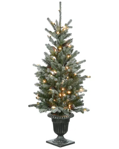 National Tree Company 4ft Snowy Morgan Spruce Entrance Tree With Twinkly Led Lights In Green