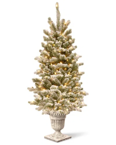 National Tree Company 4ft Snowy Sheffield Spruce Entrance Tree With Twinkly Led Lights In Green