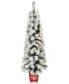NATIONAL TREE COMPANY PRE-LIT FEEL REAL SNOWY POGUE PINE ARTIFICIAL CHRISTMAS ENTRANCE TREE 5 FT.