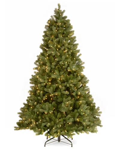 National Tree Company 6.5ft Feel Real Downswept Douglas Fir Tree With Clear Lights