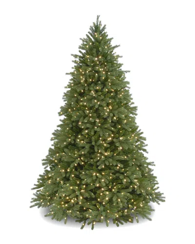 National Tree Company 6.5ft Jersey Fraser Fir Tree With Lights