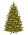 National Tree Company 6.5ft Medium Nordic Spruce Tree With Clear Lights