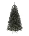National Tree Company 6.5ft North Valley Black Spruce Tree