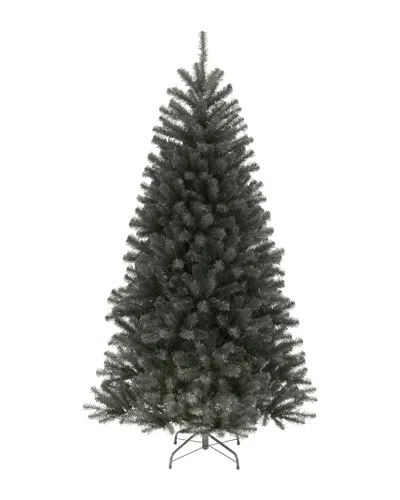 National Tree Company 6.5ft North Valley Black Spruce Tree