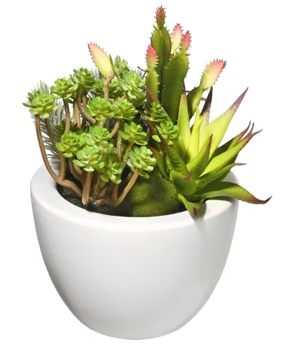 National Tree Company 7.5 Succulent Plants In Green