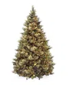 National Tree Company 7.5ft Carolina Pine Tree With 750 Clear Lights