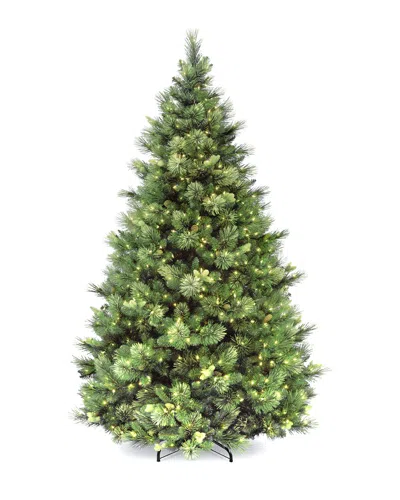 National Tree Company 7ft Carolina Pine Hinged Tree With 700 Clear Lights
