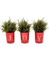 National Tree Company 8in Christmas Joy Tabletop In Green