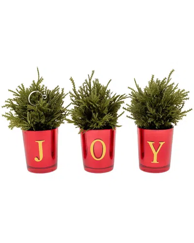 National Tree Company 8in Christmas Joy Tabletop In Green