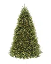 National Tree Company 9ft Dunhill Fir Tree With Clear Lights