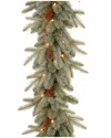 National Tree Company 9ft Feel-real Frosted Arctic Spruce Garland With Clear Lights
