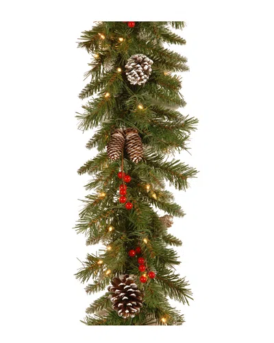 National Tree Company 9ft Frosted Berry Garland With 100 Clear Lights In Green