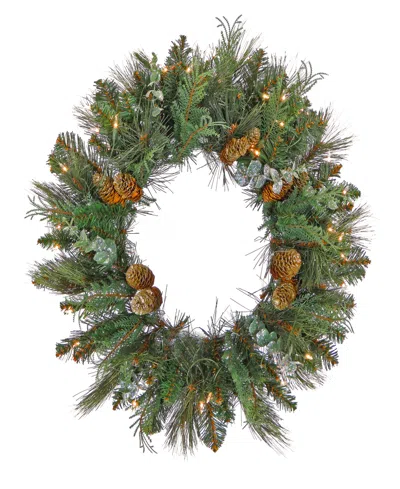 National Tree Company First Traditions Collection, 30" Pre-lit Artificial North Conway Wreath With Glittery Cones And Euca In Green