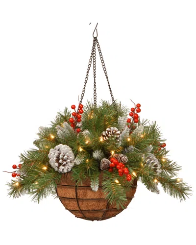 National Tree Company Frosted Berry Hanging Basket