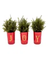 National Tree Company "joy" Mini Trees, Set Of 3, 8 Inches In Red