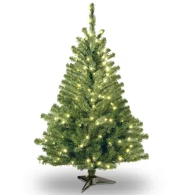 National Tree Company National Tree 4' Kincaid Spruce Tree W/100 Clear Lights In Green