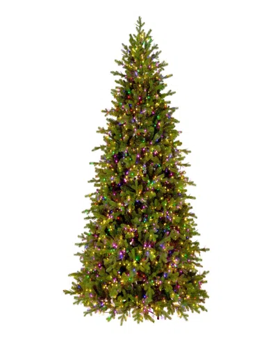 National Tree Company Princeton Fraser Fir Tree, 7.5 Feet. In Green