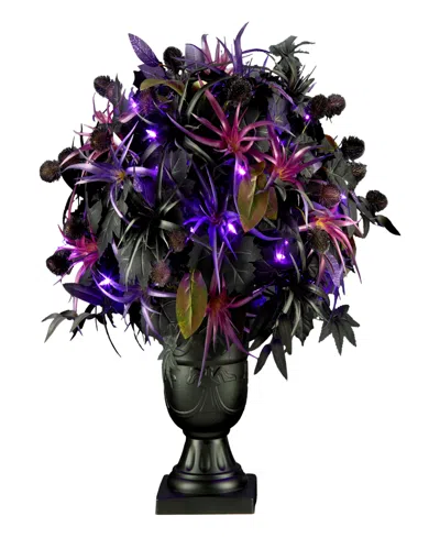 National Tree Company Scare In The Air Potted Plant, 24 Inches In Green