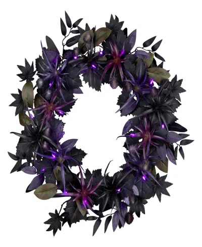 National Tree Company Scare In The Air Wreath, 24 Inches In Black