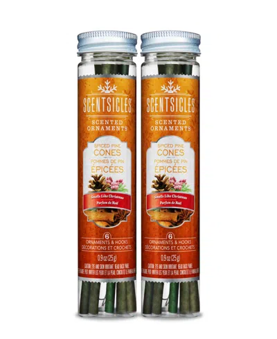 National Tree Company Scentsicles Scented Ornaments, 6 Count Bottles, Infused Paper Sticks, 2 Pack Set In Spiced Pinecones