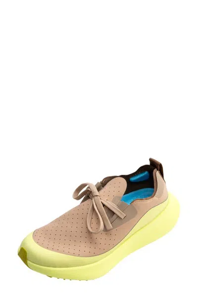 Native Shoes Apollo 10 Roam Sneaker In Multi