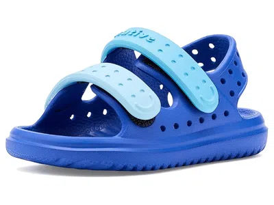 Native Shoes Chase (toddler) Kid's Shoes Uv Blue/aquarius Blue : 5 Toddler M, Synthetic