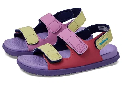 Native Shoes Kids  Frankie Sugarlite Sandals Purple Adjustable Straps Gbnc653 In Multi