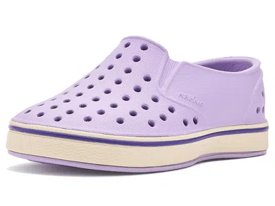 Native Shoes Miles (toddler) Kid's Shoes Taro Purple/bone White : 4 Toddler M, Synthetic