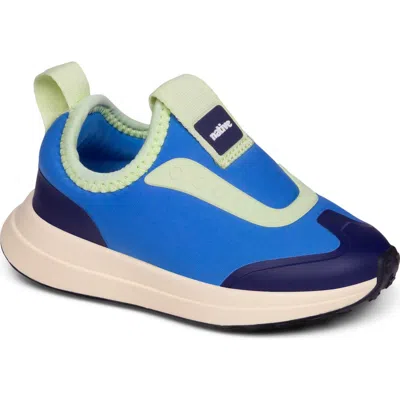 Native Shoes Kids'  Robbie Dash Slip-on Sneaker In Multi