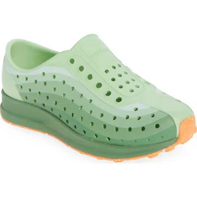 Native Shoes Robbie Floral Water Friendly Perforated Slip-on In Fig Reen/loch Green/apricot