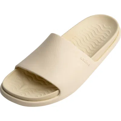 Native Shoes Spencer Lx Vegan Sport Slide Sandal In Neutral