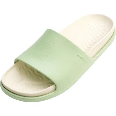 Native Shoes Spencer Xl Slide Sandal In Green