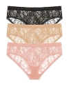 Natori 3-pack Lace Girl Briefs In Black/cafe/rose