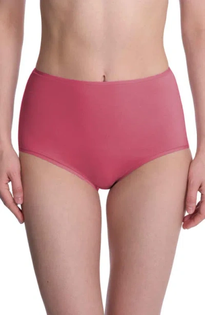 Natori Bliss Bare Cotton High Waist Briefs In Multi