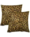 Natural Group Pack Of 2 Torino Quattro Pillow