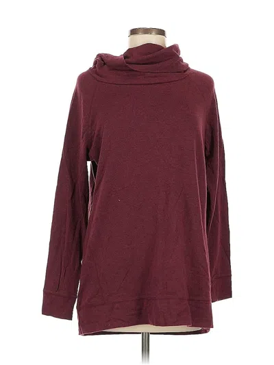 Pre-owned Natural Reflections Turtleneck Sweater In Burgundy
