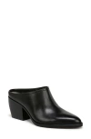 Naturalizer Fairmont Pointed Toe Mule In Black