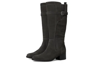 Naturalizer Kenna Knee High Boots In Gray