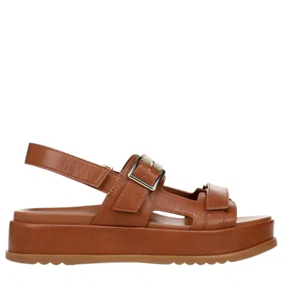 Naturalizer Women's  Ziva Sandal English Tea Brown J5913s1200