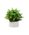 Nature's Elements Desktop Artificial Eucalyptus In Decorative Ceramic Pot, 11" In White