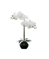 Nature's Elements Desktop Artificial Orchid Arrangement In Ceramic, 22" In Black