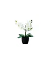 Nature's Elements Desktop Artificial Orchid In Decorative Vase In Black