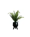 Nature's Elements Desktop Artificial Palm In Decorative Ceramic Pot, 17" In Black