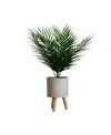 Nature's Elements Desktop Artificial Palm In Decorative Pot, 23" In Light Beige