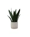 Nature's Elements Desktop Artificial Snake Plant In Cement, 14" In Gray