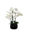 Nature's Elements Tabletop Artificial Orchid Arrangement In Ceramic, 32" In Black