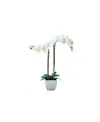 Nature's Elements Tabletop Real Touch Artificial Orchid In White